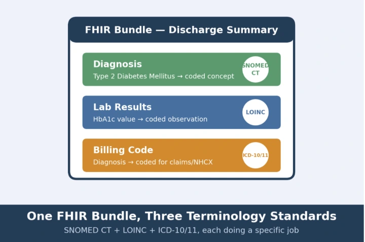 SNOMED CT, LOINC, and ICD-10/11 each code a different part of the same FHIR document.
